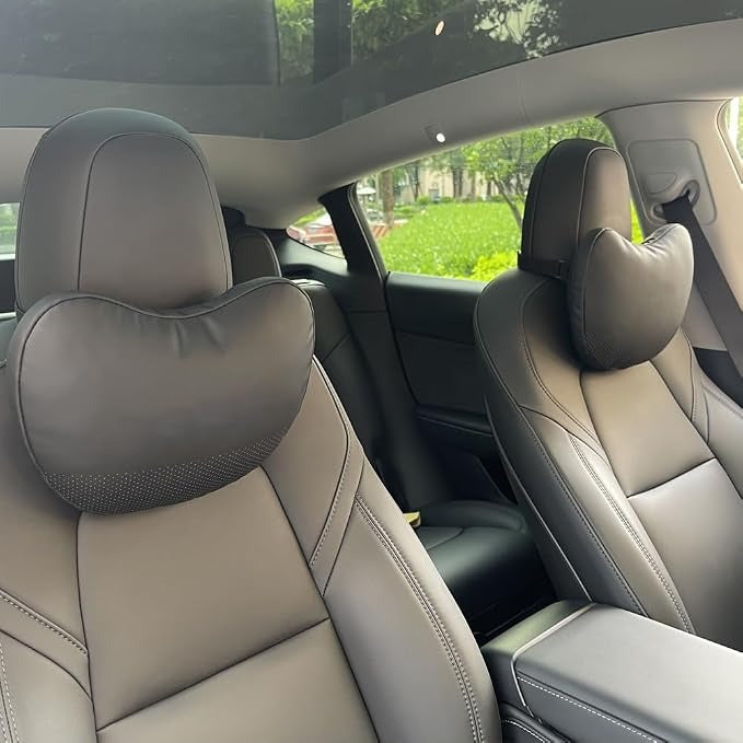 Headrest Tesla